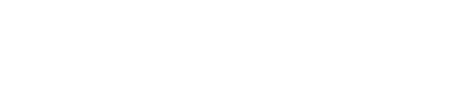 THE RESIDENCE OF NAGOYA T03