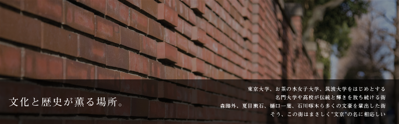 ƗjOꏊB